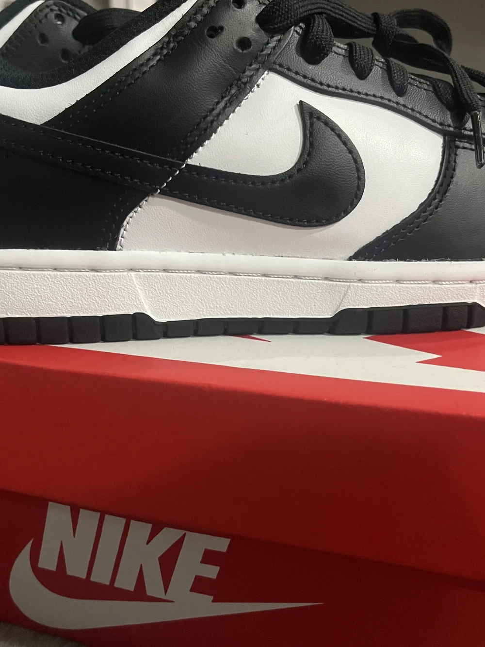 Nike Men’s Black/White Low-Top Sneakers